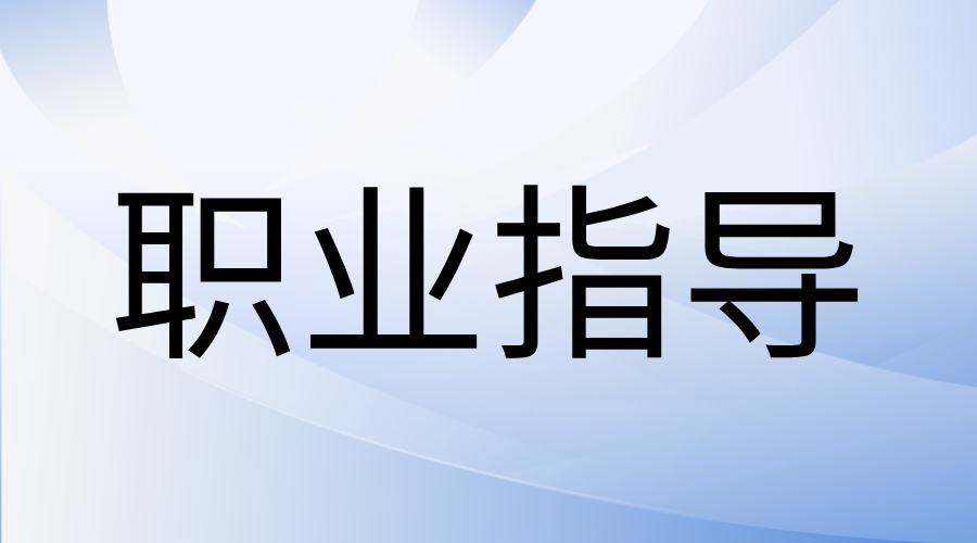 职业指导